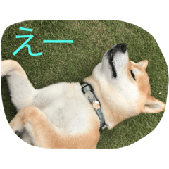 [LINEスタンプ] きゅーとなあいさつ
