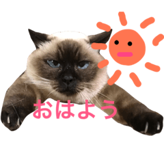 [LINEスタンプ] 我が家のさぶちゃん