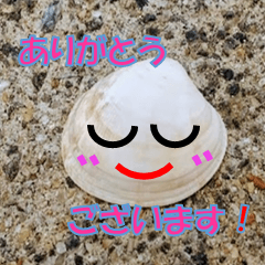[LINEスタンプ] 貝がらさん（日本語）