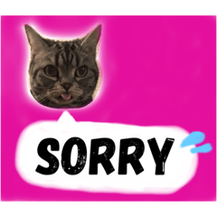 [LINEスタンプ] 田中さん家の猫