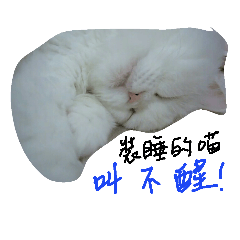 [LINEスタンプ] Maomaojian life . Version 2