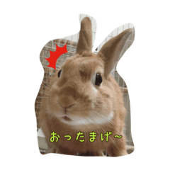 [LINEスタンプ] うさたまの一言②