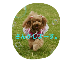 [LINEスタンプ] ramuda09