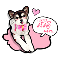 [LINEスタンプ] Lambo＆Leo