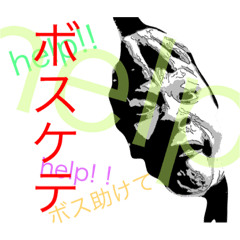 [LINEスタンプ] ちょもの生態