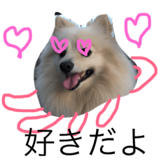 [LINEスタンプ] Pomeranian octopus