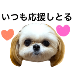 [LINEスタンプ] ウチのブサカワ犬   うに