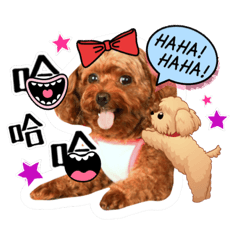 [LINEスタンプ] We are poodles