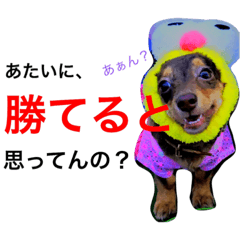 [LINEスタンプ] ぴぃまろ日和。