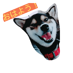 [LINEスタンプ] Kuroshiba Ponta