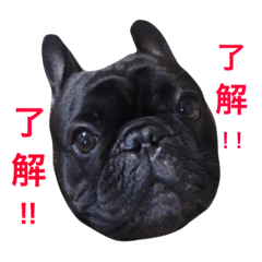[LINEスタンプ] Beeさんの日常