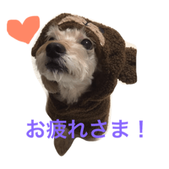 [LINEスタンプ] ティアラ 2