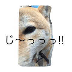 [LINEスタンプ] toharu