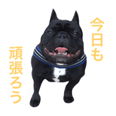 [LINEスタンプ] Beeさんの日常2