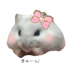 [LINEスタンプ] みるたんの日常