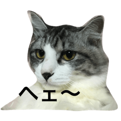 [LINEスタンプ] 吾輩はレオである