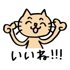 [LINEスタンプ] ねこの にゃんきち の日々