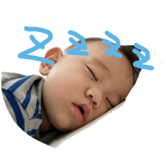 [LINEスタンプ] ウッシースタンプ