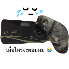 [LINEスタンプ] My Rolex