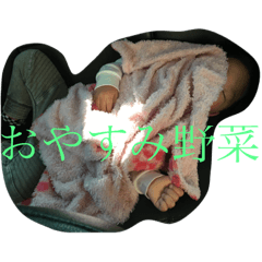 [LINEスタンプ] やまと0626