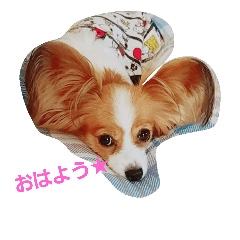 [LINEスタンプ] みーちゃんの1日