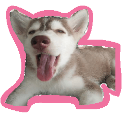 [LINEスタンプ] Husky PeDro