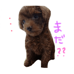 [LINEスタンプ] ビンとムー