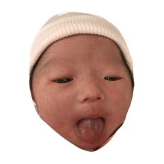 [LINEスタンプ] d.sara