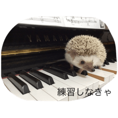 [LINEスタンプ] ハリネズミのおはぎと仲間たち