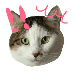 [LINEスタンプ] 真ん中わけ前髪のソメちゃん