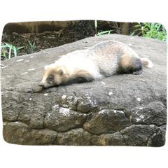 [LINEスタンプ] 眠ぅ〜い