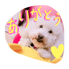 [LINEスタンプ] 毎日ぽんぽん
