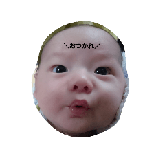 [LINEスタンプ] haruharuharukastamp