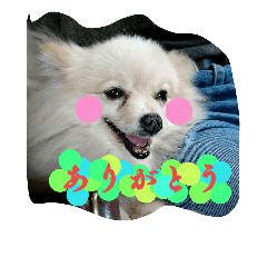 [LINEスタンプ] つきみの日常
