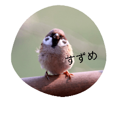 [LINEスタンプ] とりさまたち