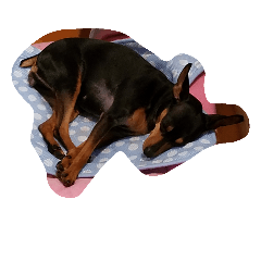 [LINEスタンプ] 愛犬いちご
