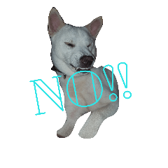 [LINEスタンプ] 紀州犬くう