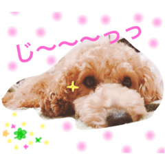 [LINEスタンプ] 杉田小太郎くん