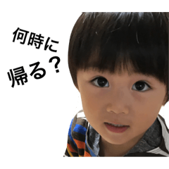 [LINEスタンプ] いつき せりな