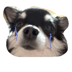 [LINEスタンプ] WANNWANN