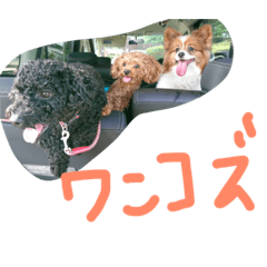 [LINEスタンプ] 騒がしい犬達