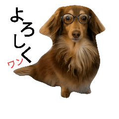 [LINEスタンプ] 我が家のぷりんちゃん