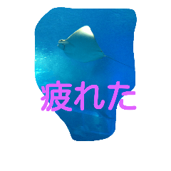 [LINEスタンプ] 沖縄水族館