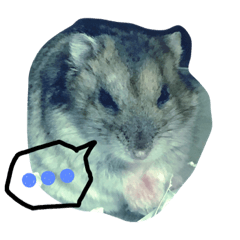 [LINEスタンプ] 話すター(hamster)