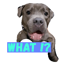 [LINEスタンプ] Dogs life so hard