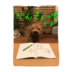 [LINEスタンプ] TETOスタンプ第3弾！！