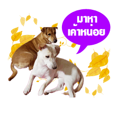 [LINEスタンプ] Family Pak
