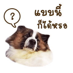 [LINEスタンプ] Bow the dog