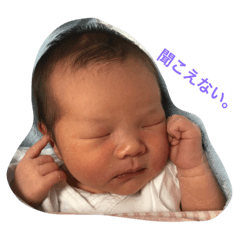 [LINEスタンプ] てったん♡