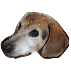 [LINEスタンプ] 俺の愛犬“ジャック”   No.1